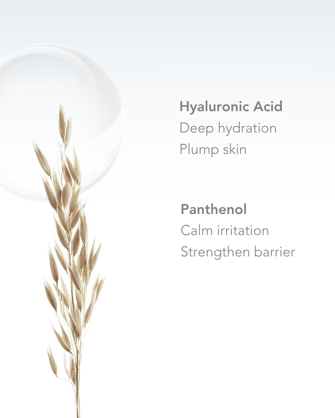 Tägliches Feuchtigkeitsserum - 30ml