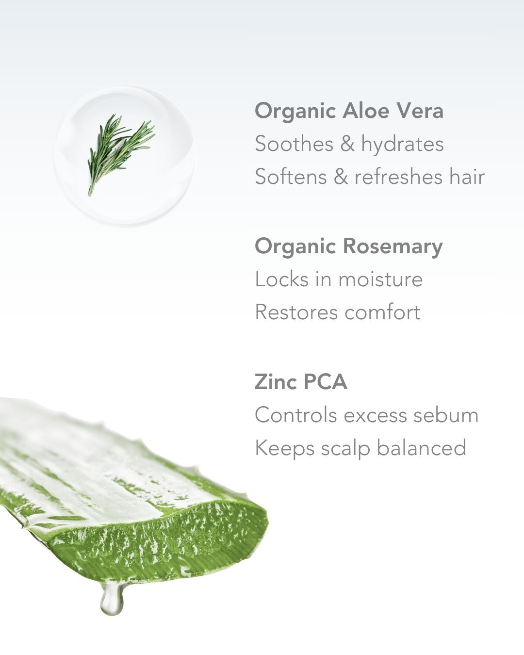 Shampooing Anti-Pelliculaire 250 ml