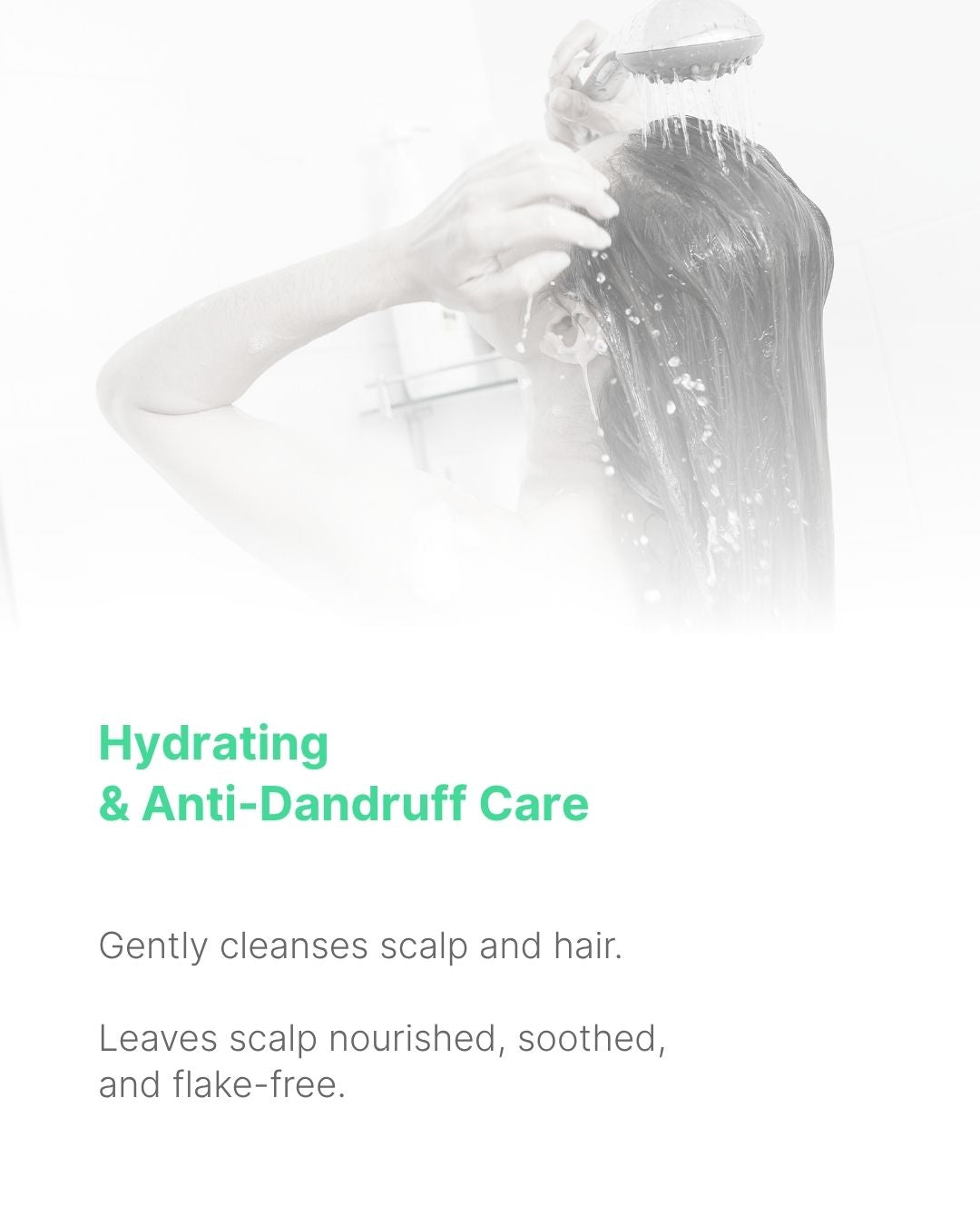 Shampooing Anti-Pelliculaire 250 ml