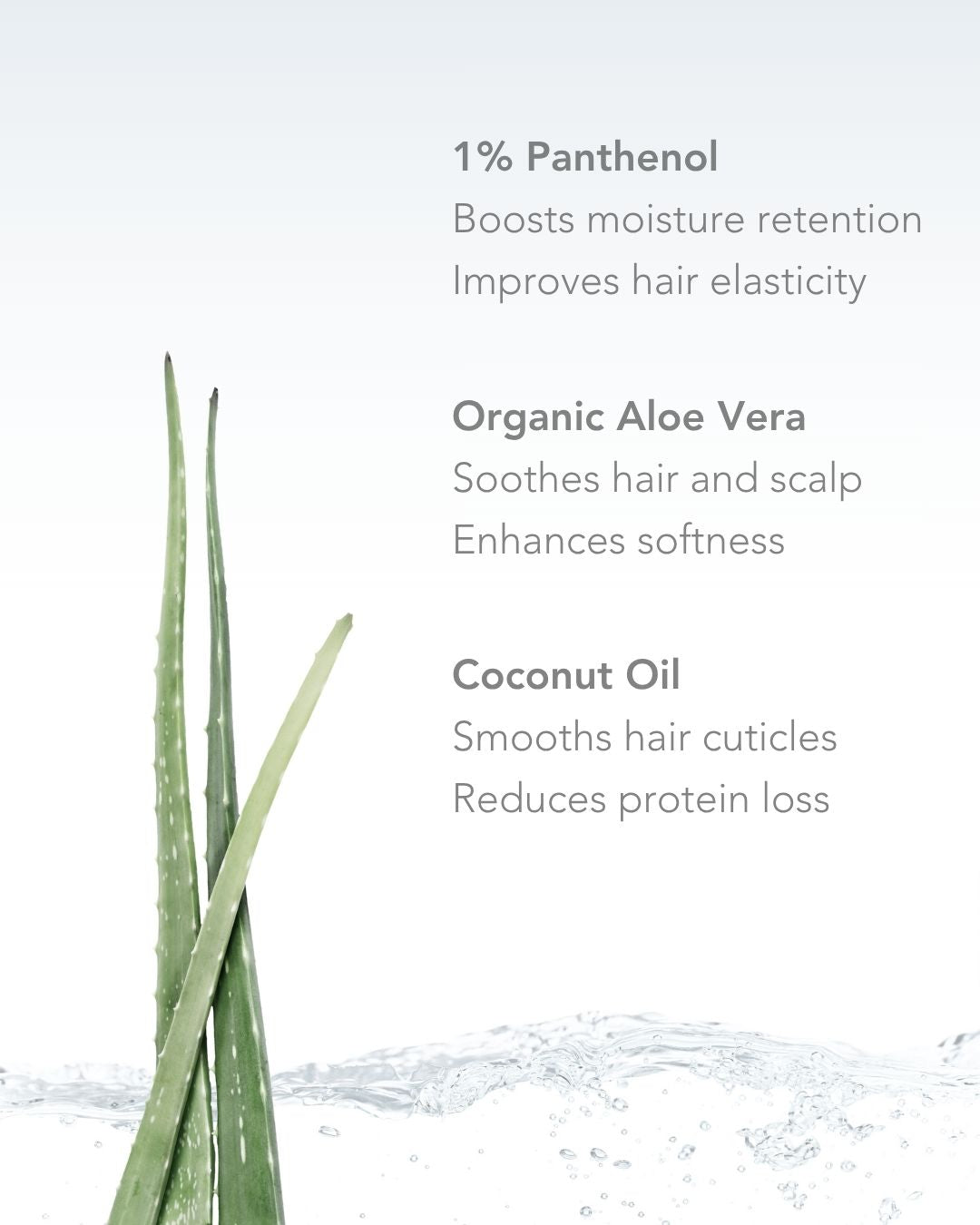 Spray Hydratant Cheveux 100 ml