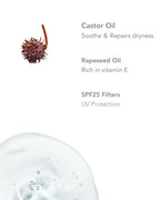 Baume Régénérant à Lèvres SPF25 15 ml