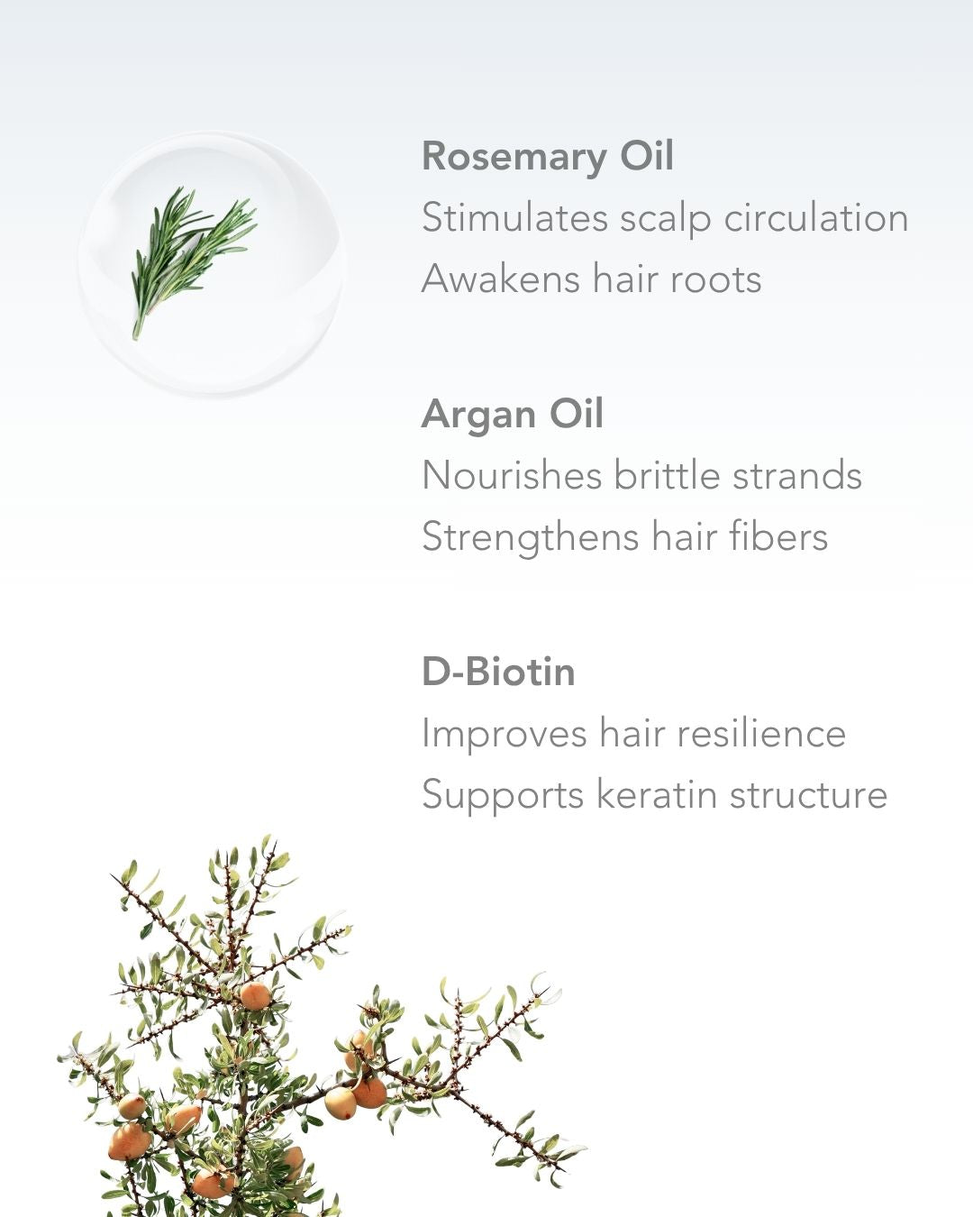 Huile Fortifiante Cheveux 75 ml