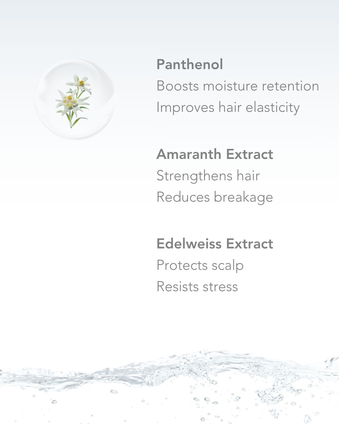 Shampooing Hydratant 250 ml